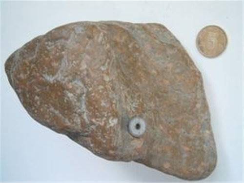 2018年石铁陨石征集拍卖