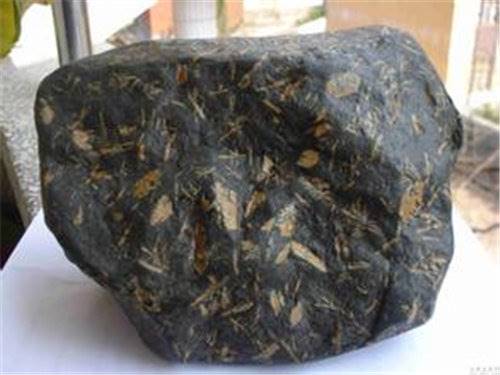 奇石真伪鉴别哪里好