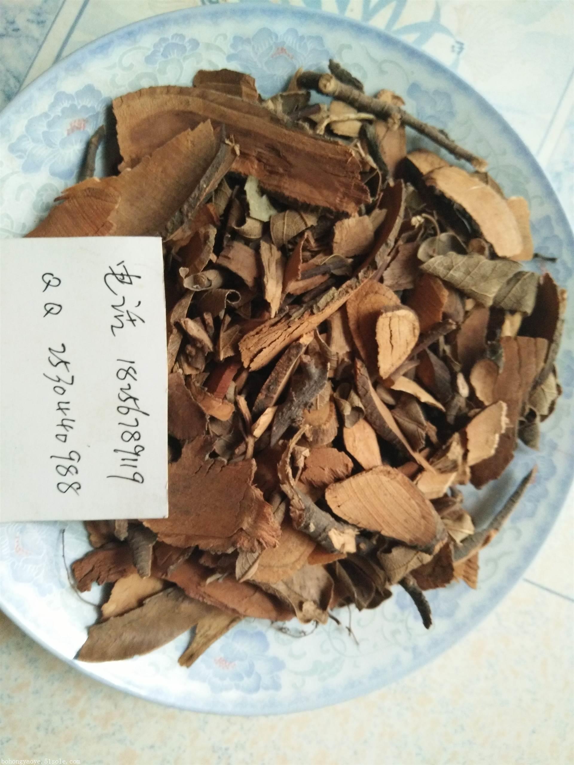 爬山虎