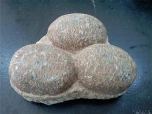 2018年12连体恐龙蛋化石图片及价格