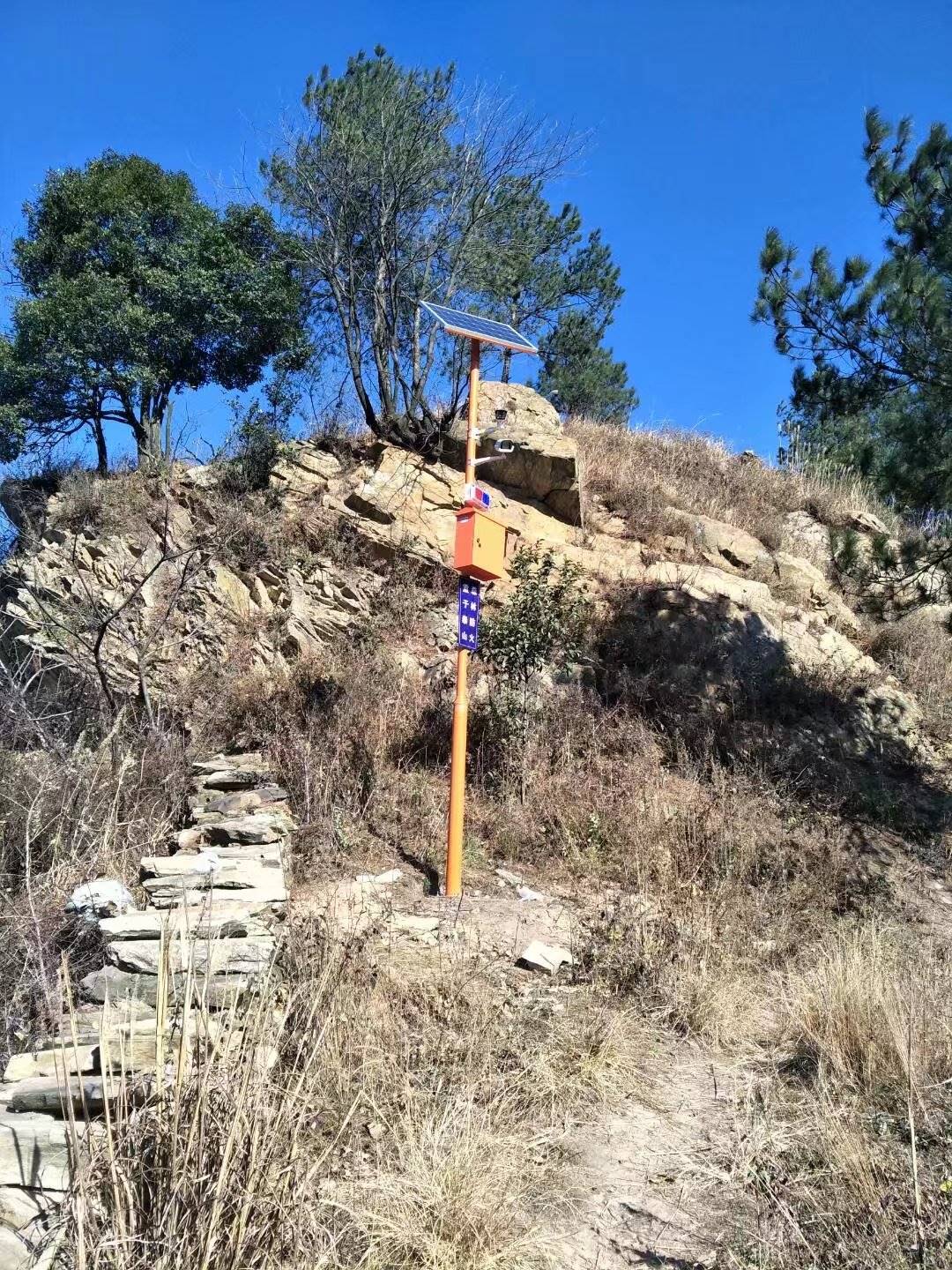 森林公园湿地图片公园监控系统视频_视频图学蛇高清抓图片
