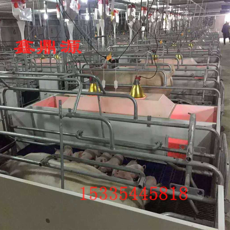 养猪场设备 养猪设备 猪产床 母猪分娩床