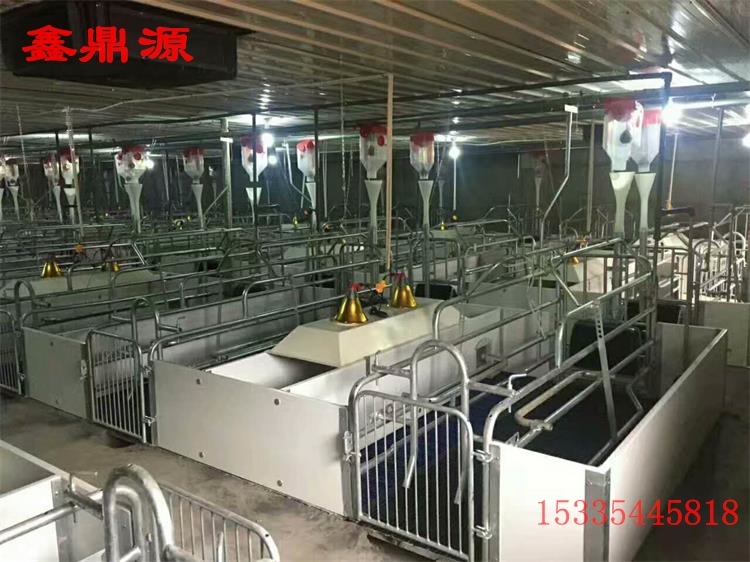 养猪场设备 养猪设备 猪产床 母猪分娩床