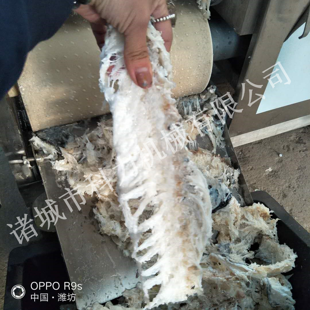 科力150型不锈钢鱼肉采肉机鱼肉去刺机