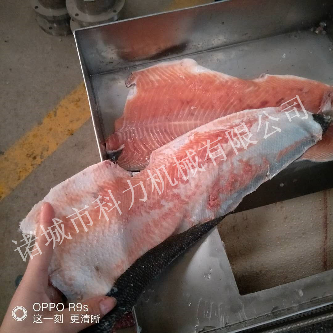 科力150型不锈钢鱼肉采肉机鱼肉去刺机