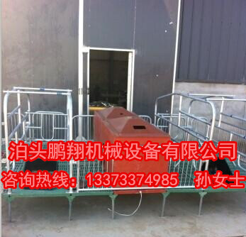 养殖设备母猪产床的特点