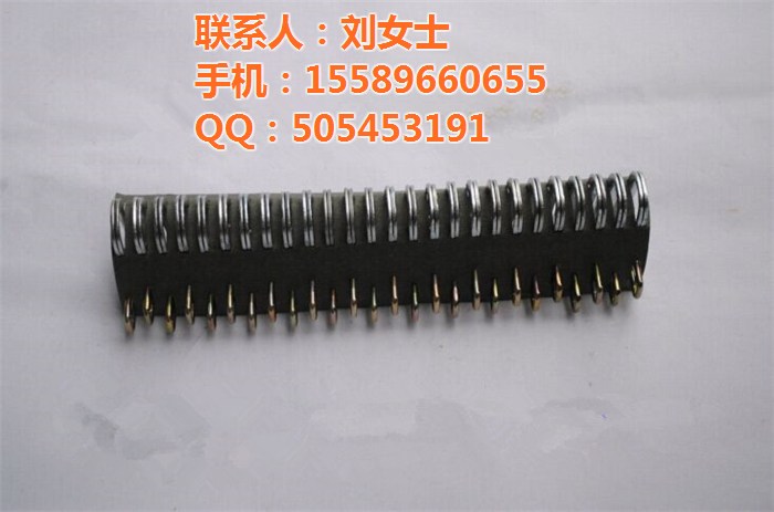 狮王皮带扣