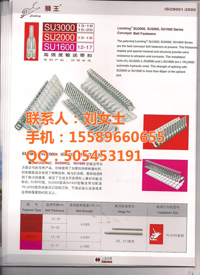 狮王皮带扣