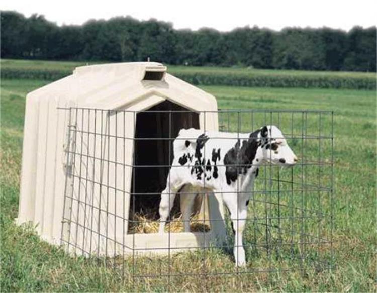 加工定做玻璃钢犊牛岛 犊牛舍 犊牛栏