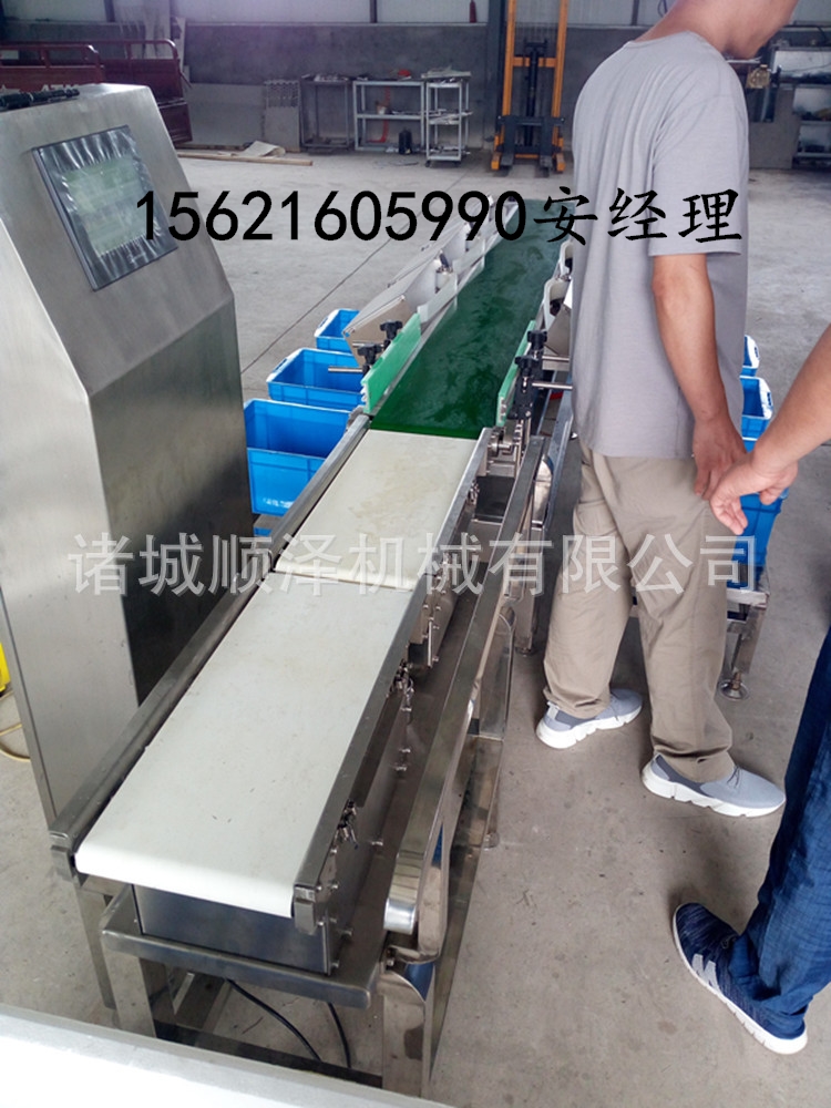 厂家热销螃蟹重量分选机 大虾分级机