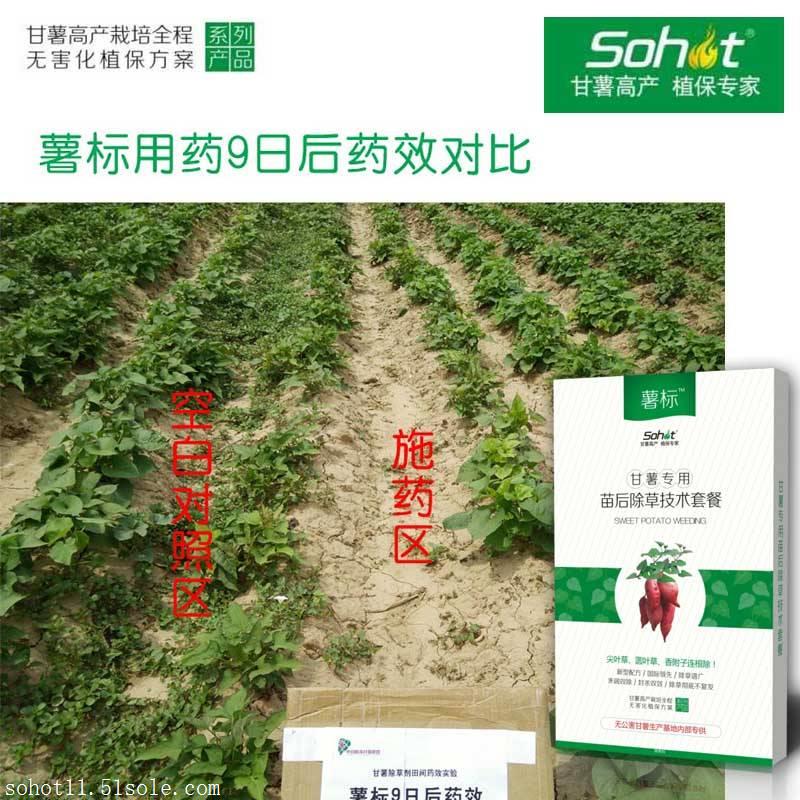 甘薯专用除草剂甘薯香附子防治薯标