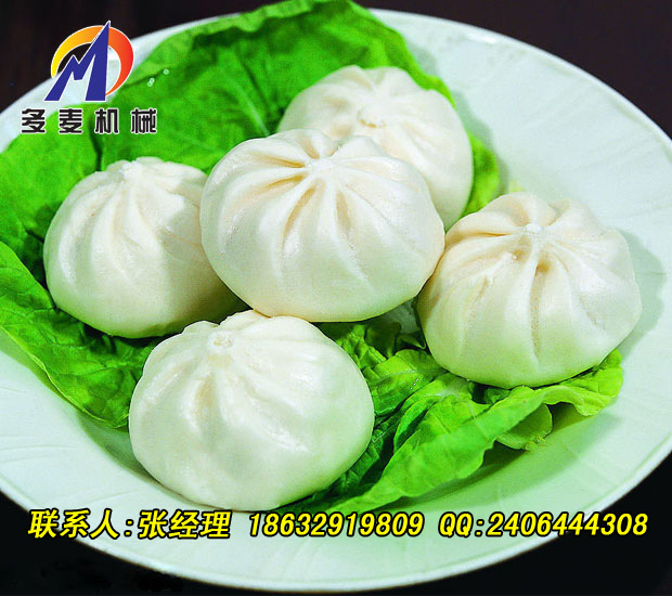 南充12褶成型包包子机器汤包南瓜饼成型机