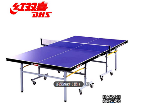 济南哪里有卖乒乓球桌的红双喜乒乓球桌价格