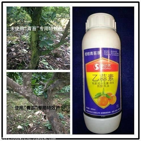 专治沧州柑橘青苔病褐斑病特效药 打砂糖橘煤
