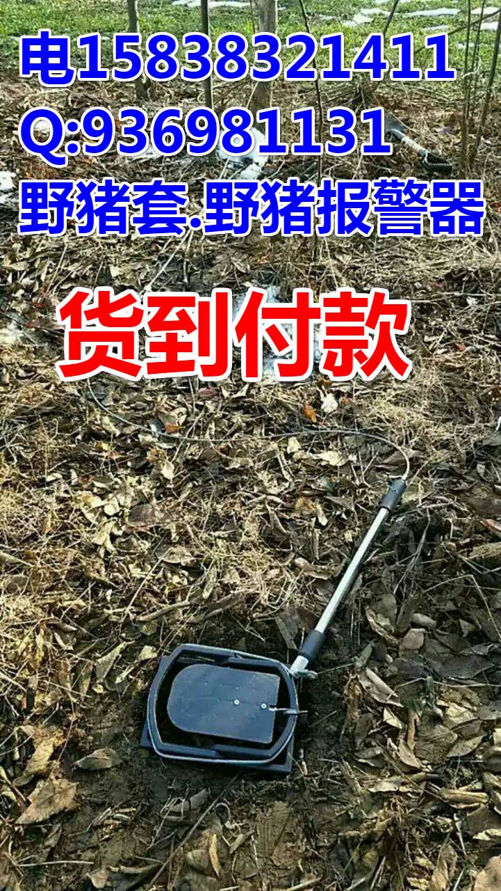 钢丝绳单向锁锁头图片榕江县-英德野猪吊脚套有多少种