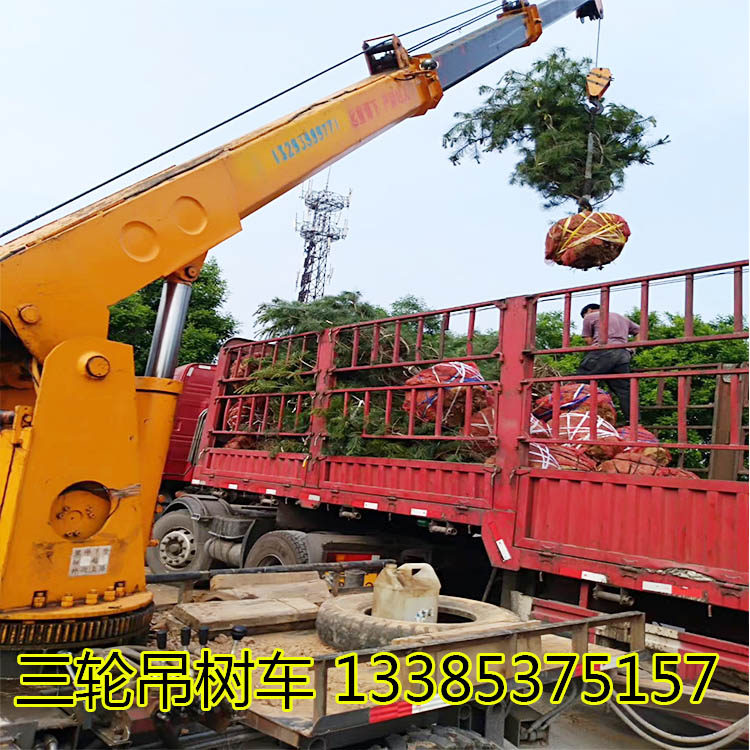 农用三轮车改装吊树专用随车吊