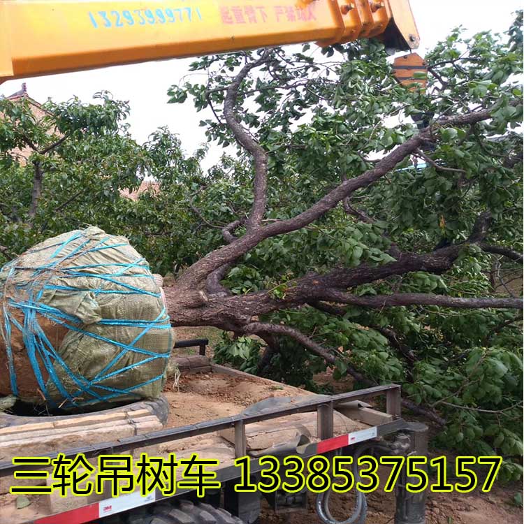 农用三轮车改装吊树专用随车吊