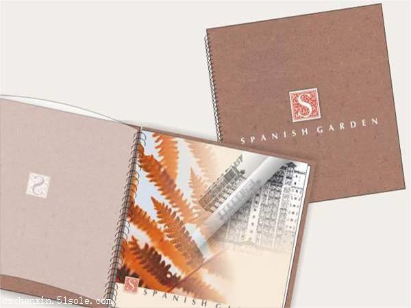 金坛彩印厂 承接营销画册设计 礼品袋设计