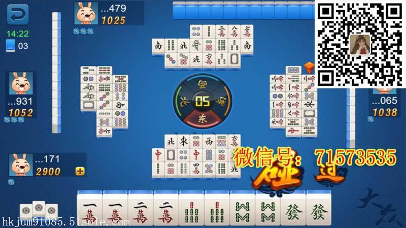 黔西南手机麻将助手app看牌规则