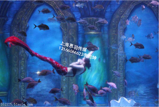 2019创意美人鱼表演出租海洋生物展览租赁    人造海水也挺咸 "美人鱼