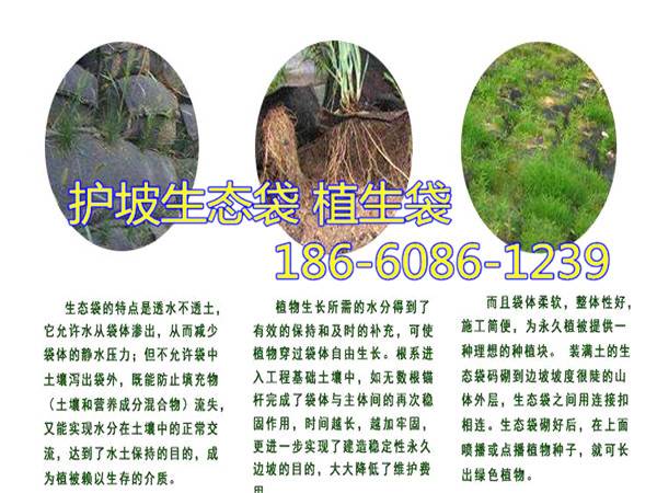 柳州环保生态袋诚信厂家