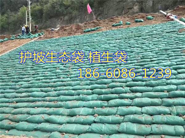 汉中护坡生态袋生产厂家