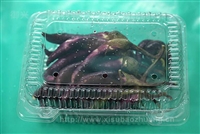 芒果透明盒水果吸塑包装 水果吸塑盒子生产厂商上海御兴
