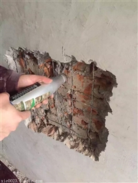 ʤسȫ