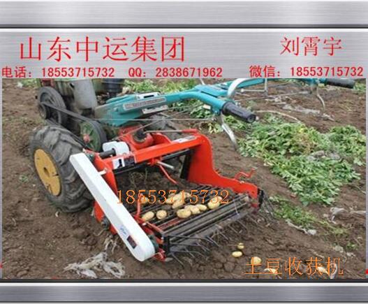 山东厂家直销大蒜收获机 收获机 洋芋获机