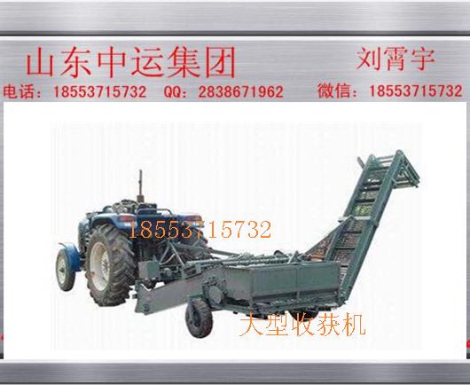 黑龙江土豆联合收获机 大型收获机 参数