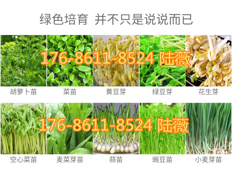 豆芽机买哪个牌子好山西延安豆芽机哪家好