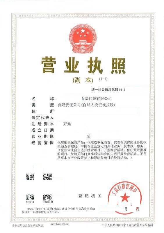 全国性保险经济牌照