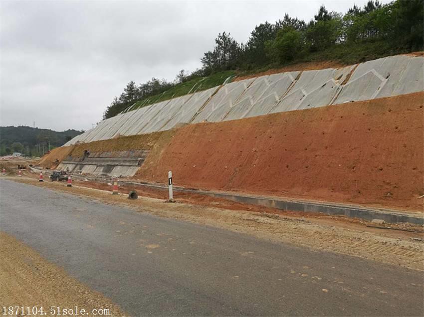 高铁路基边坡防护绿化植草 大理草种总部供货