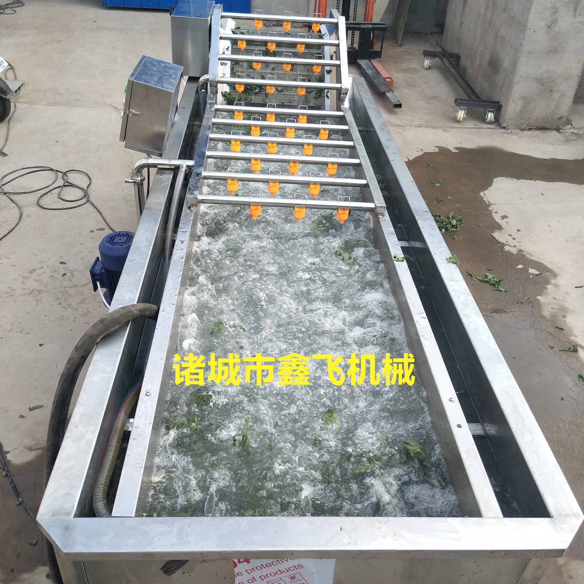 蔬菜水果清洗机厂家