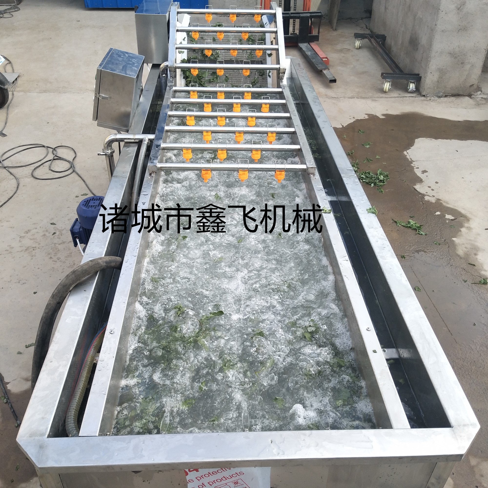 蔬菜水果清洗机厂家