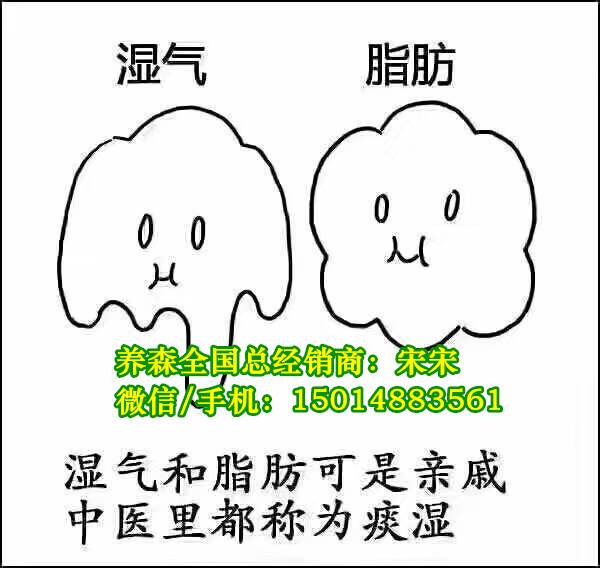 养森瘦瘦包减肥多少钱