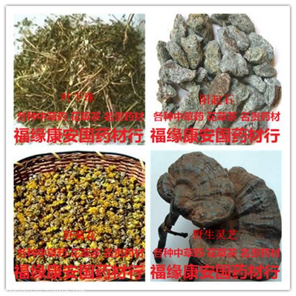 去哪里买四季红偏门中药材