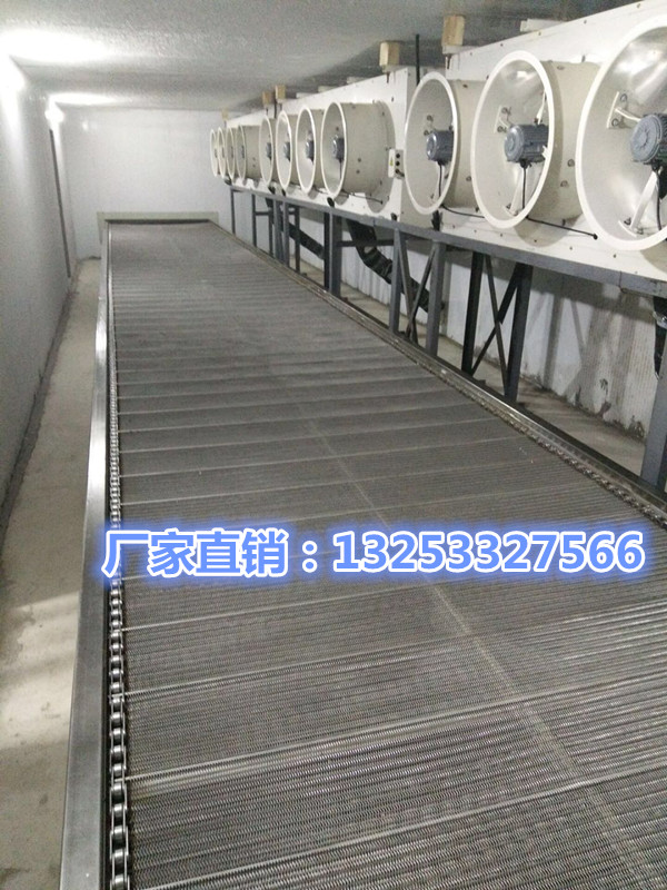 湖南饺子速冻隧道 日产10吨水饺生产线