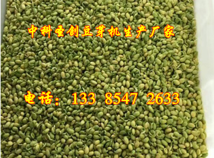 豆芽机哪个牌子好 豆芽机多少钱一台