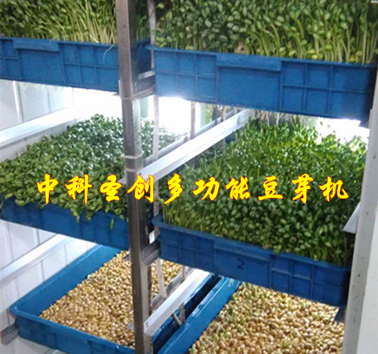 豆芽机哪个牌子好 豆芽机多少钱一台
