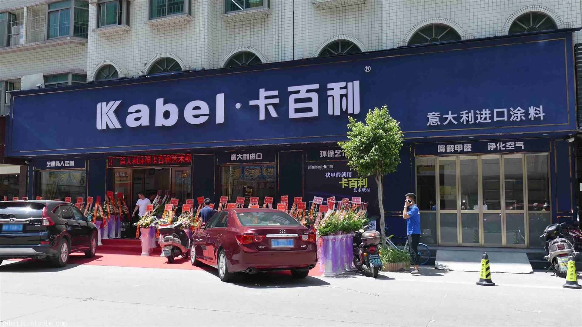 意大利卡百利艺术壁材普宁店