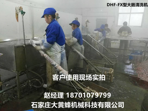 供应SMARTBEE牌DHF-FX型大肠清洗机/大肠翻洗机