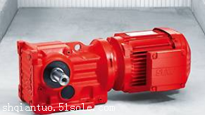赛威斜齿锥齿轮减速机产品样本