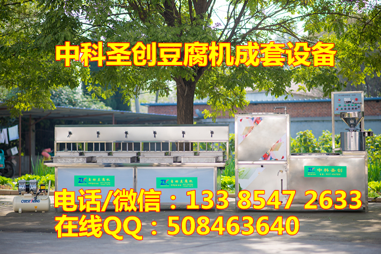 成都豆腐机多少钱一台 小型豆腐机成套设备
