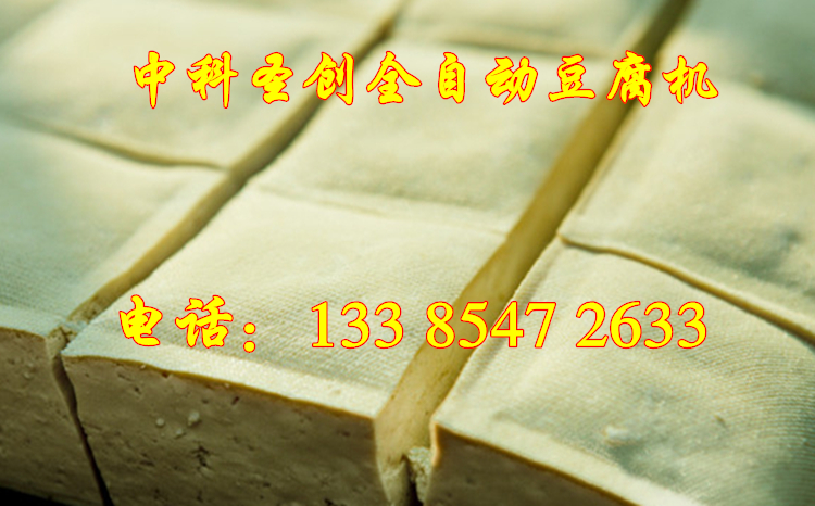 河南郑州小型豆腐机价格 豆腐加工设备厂家