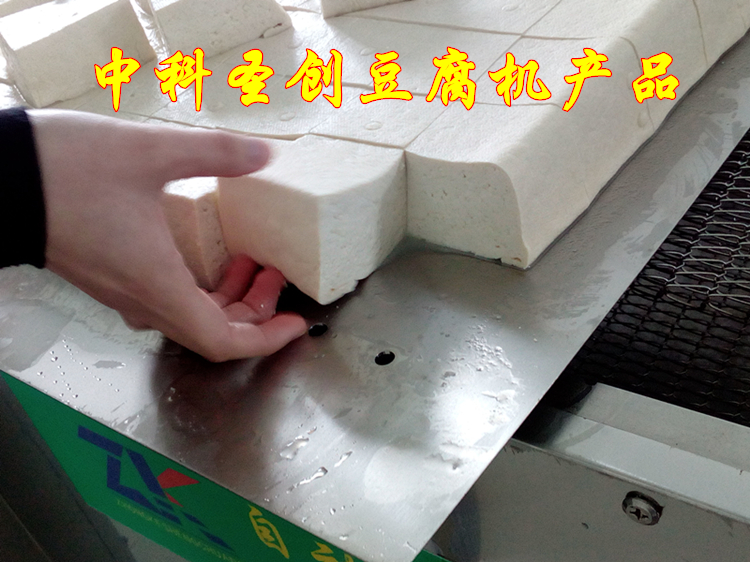 自贡水豆腐机器价格 家用小型豆腐机设备