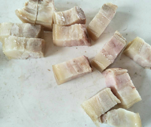 鲜肉切片机 新鲜鸡肉鸭肉切片机