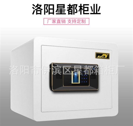 迷你保险箱电子壁柜 30cm电子全钢保管箱 钥匙密码保险箱