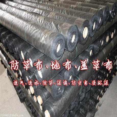 南宁防草布特价 柳州盖草布批发部 南宁除草布厂家