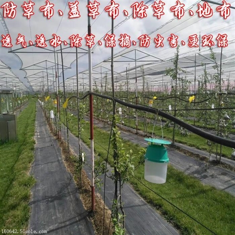 透水防草布价格 正宇各种宽幅防草布定制生产